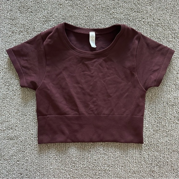 Aerie Fitted Crop Tee Short Sleeve Size Small - Picture 1 of 6